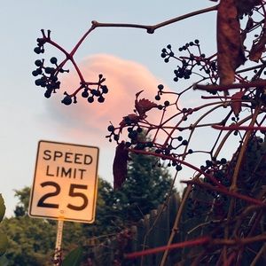 Meet your Posher, Aileen